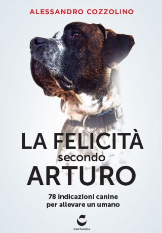 Cozzolino